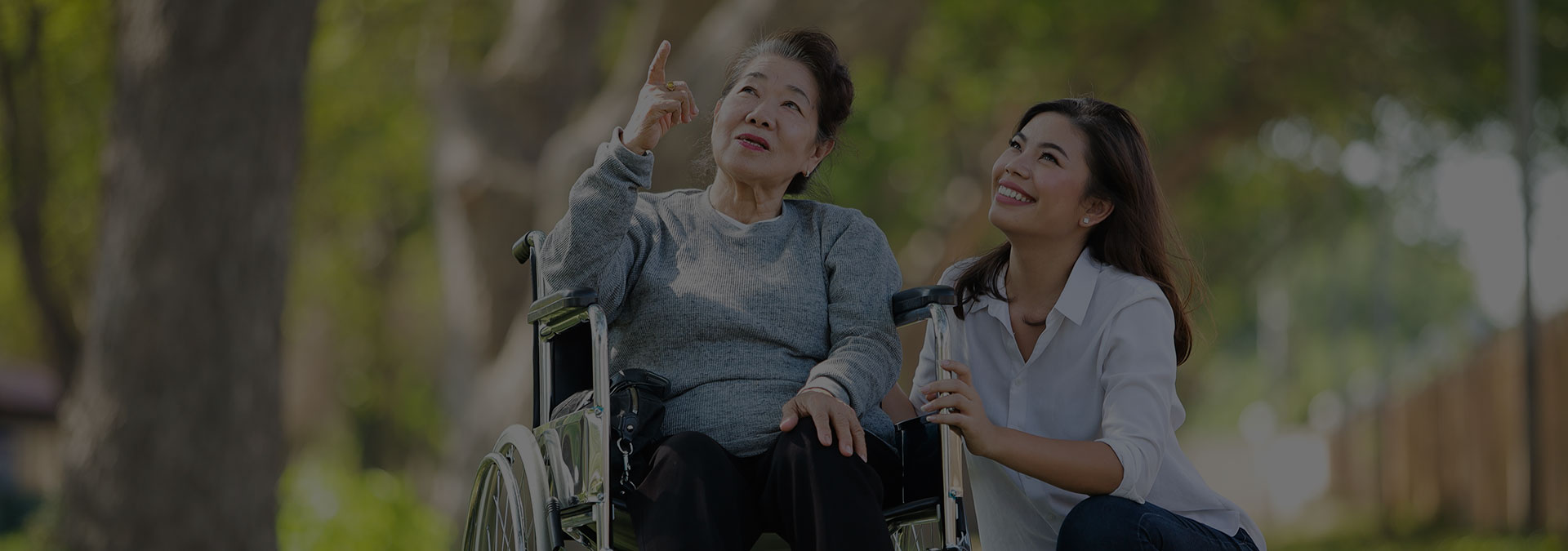 Denso Insurance Agency Pte Ltd Best Insurance Company